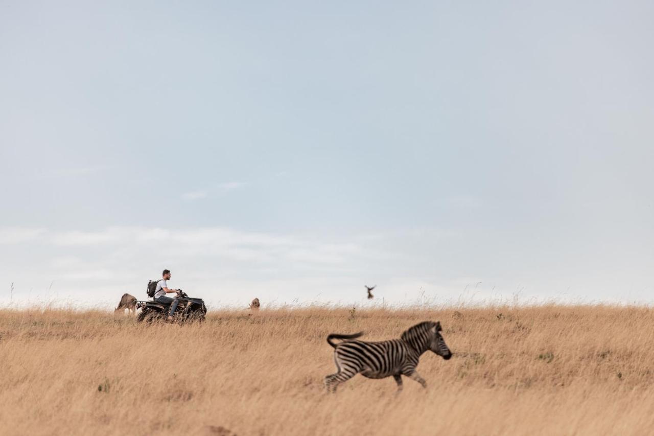 Dawsons Game Lodge Badplaas Eksteriør bilde